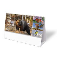 The Natural World Desk Calendar