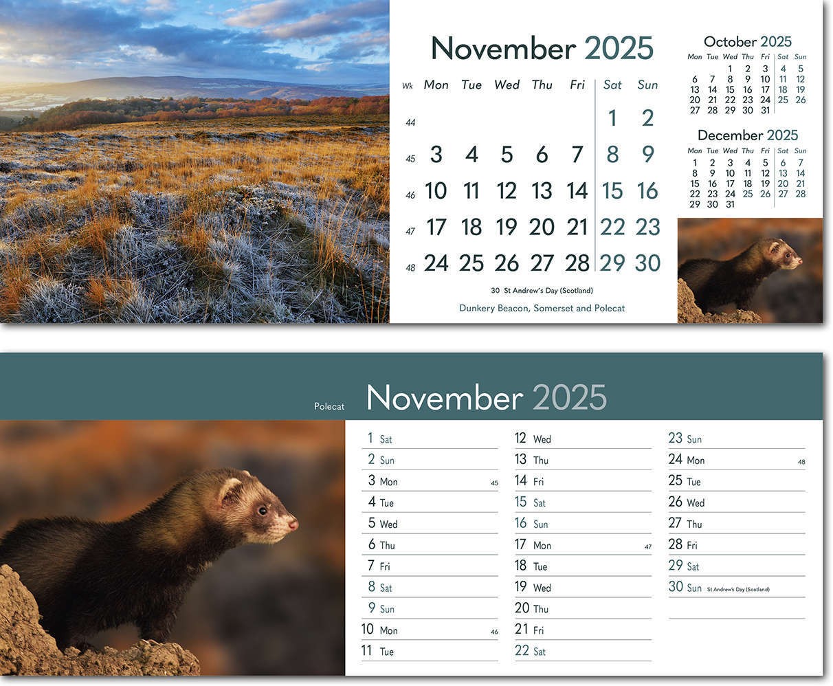 Rural Britain Note Station Desk Calendar 