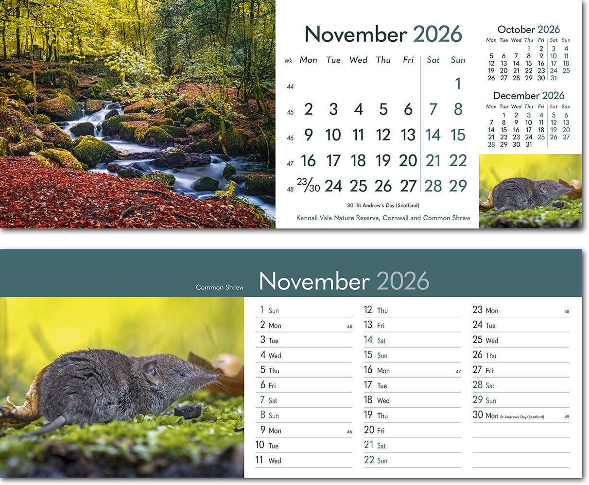 Rural Britain Desk Calendar