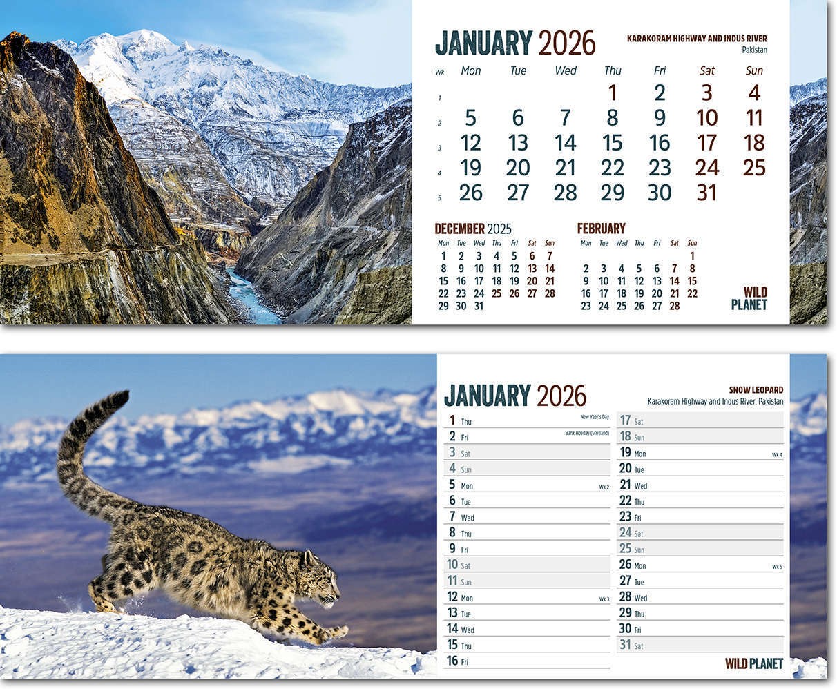 Wild Planet Task Station Desk Calendar