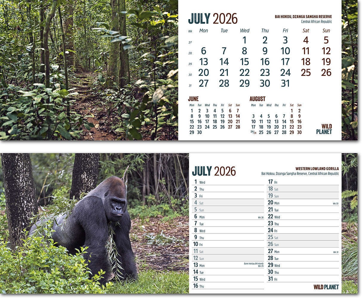 Wild Planet Task Station Desk Calendar