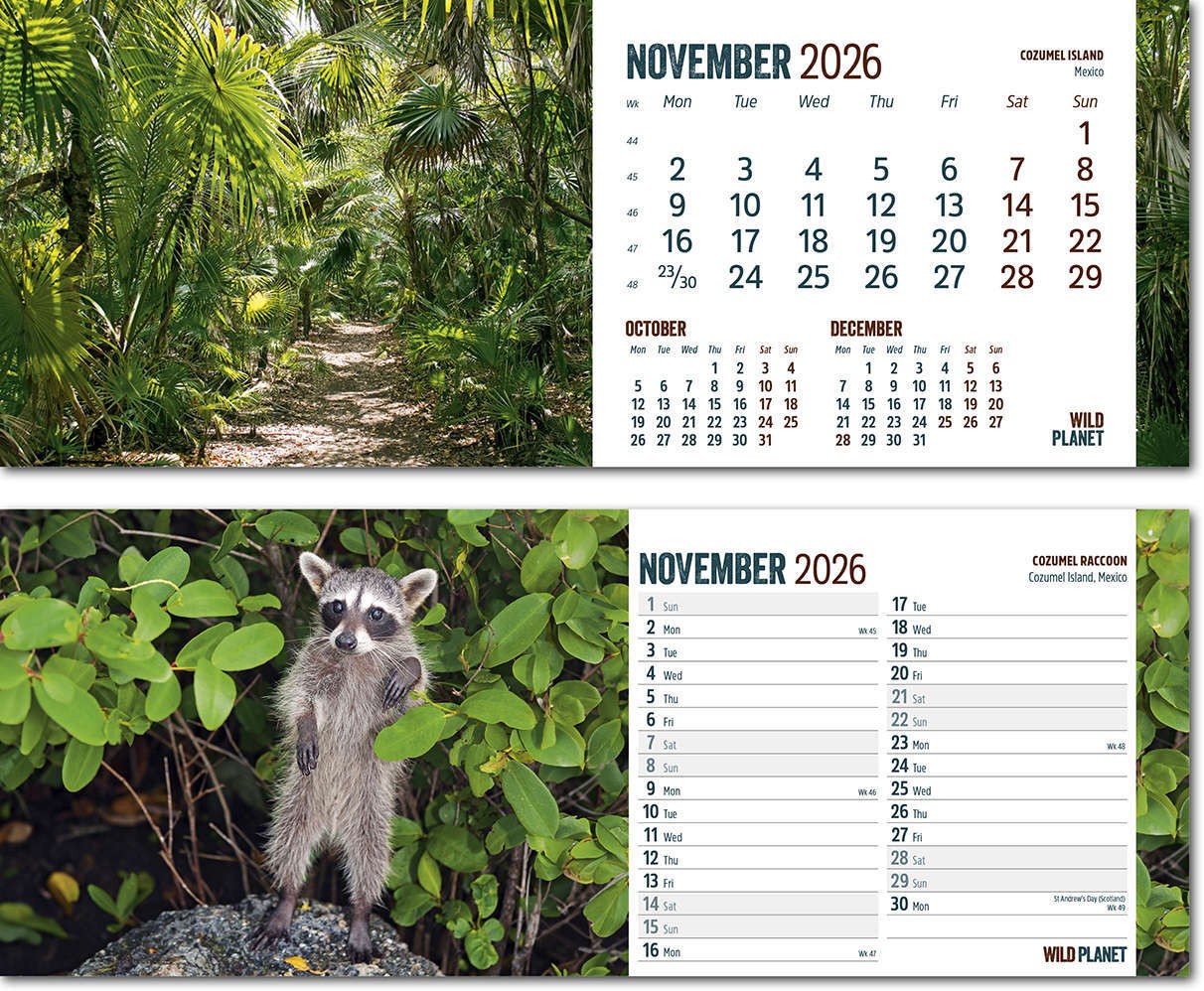 Wild Planet Task Station Desk Calendar