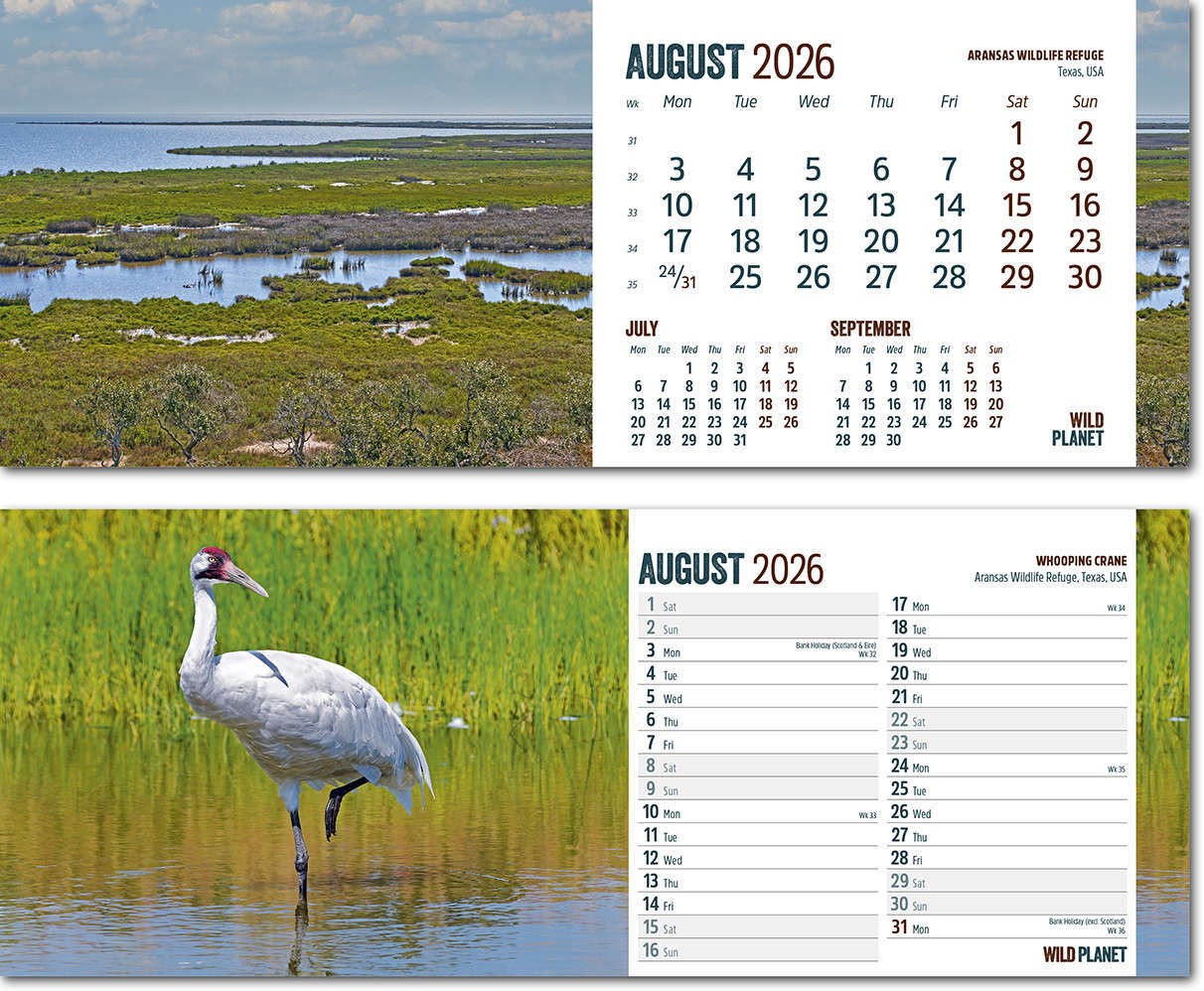 Wild Planet Desk Calendar