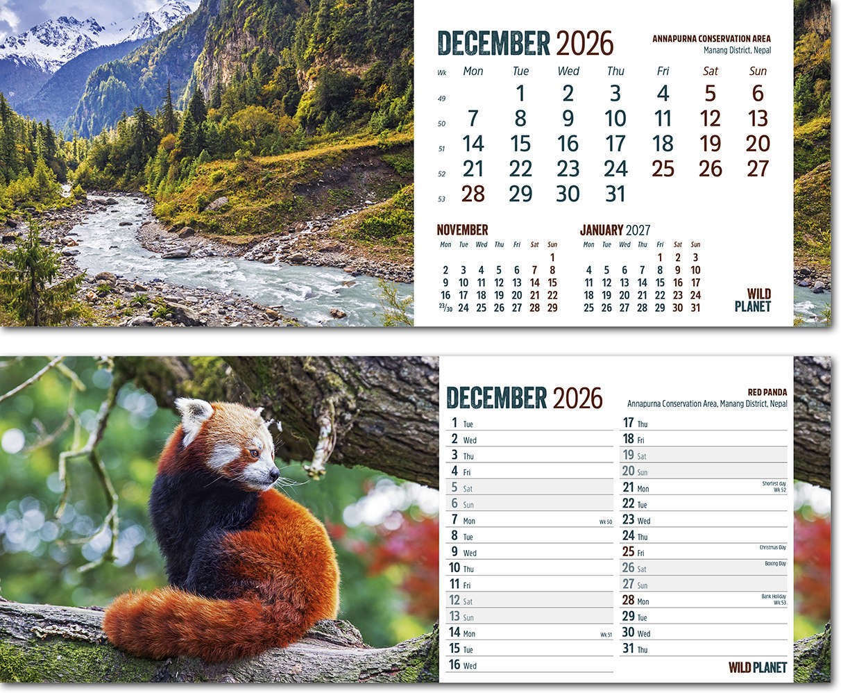 Wild Planet Desk Calendar