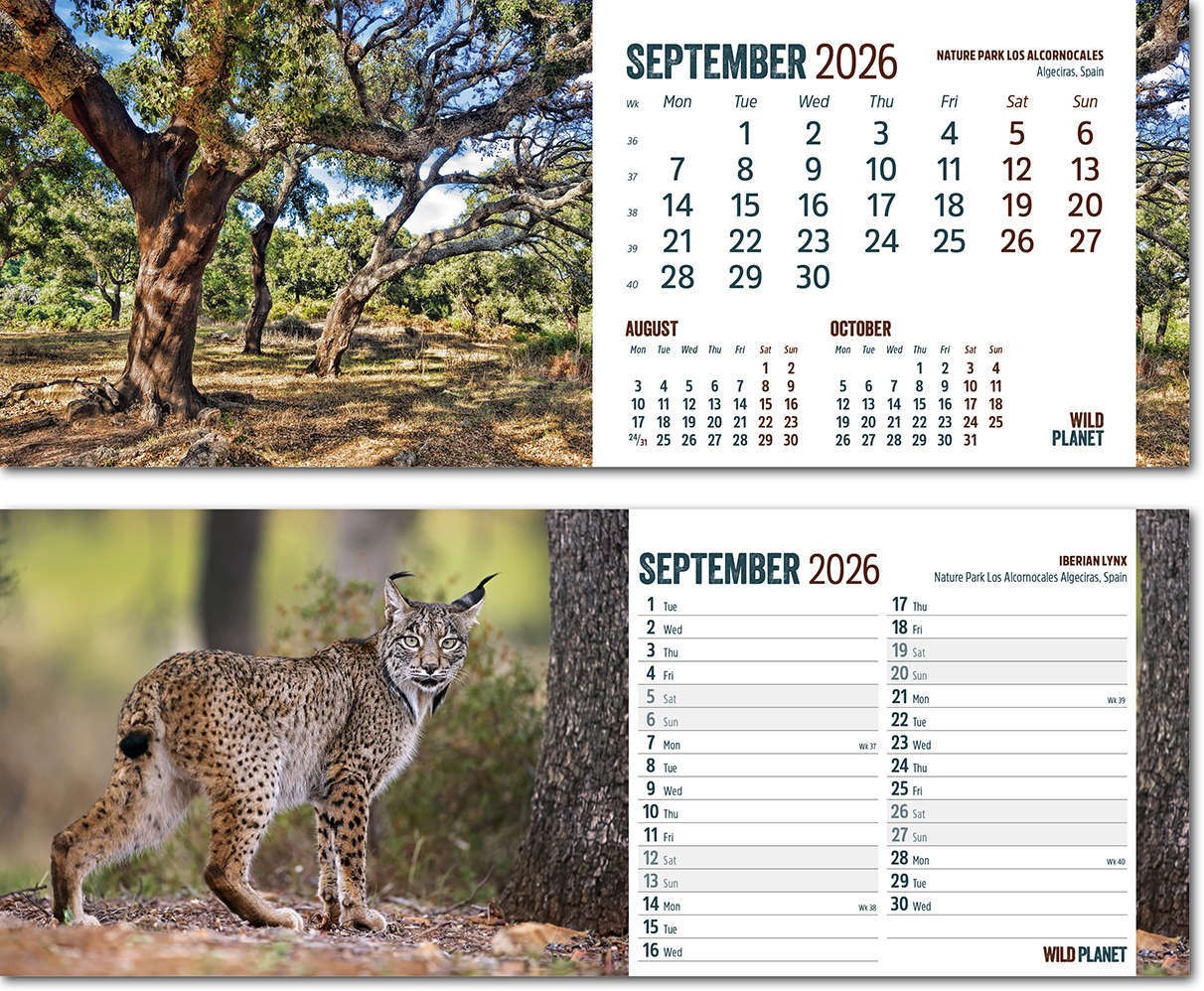 Wild Planet Desk Calendar