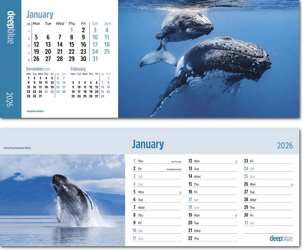 Deep Blue Desk Calendar