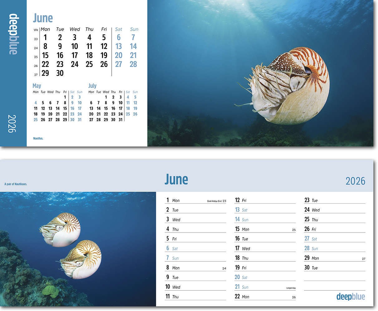 Deep Blue Desk Calendar