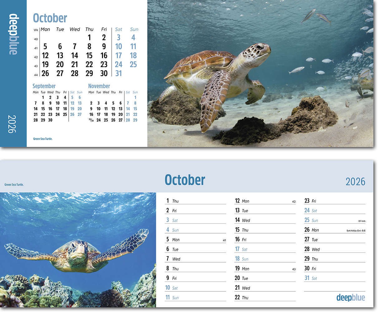 Deep Blue Desk Calendar