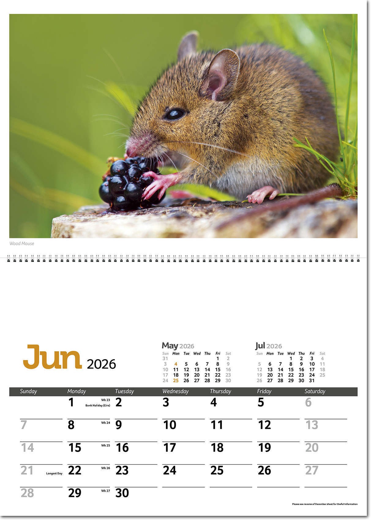 Wildlife in Britain Postage Saver Calendar