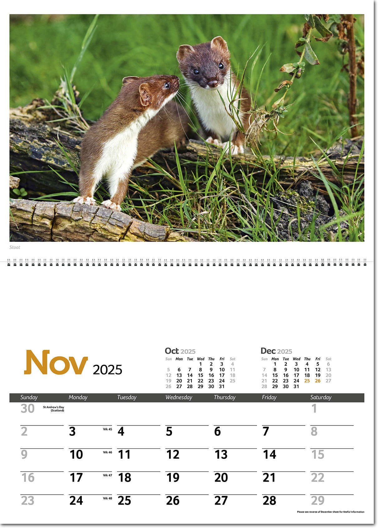 Wildlife in Britain Postage Saver Calendar