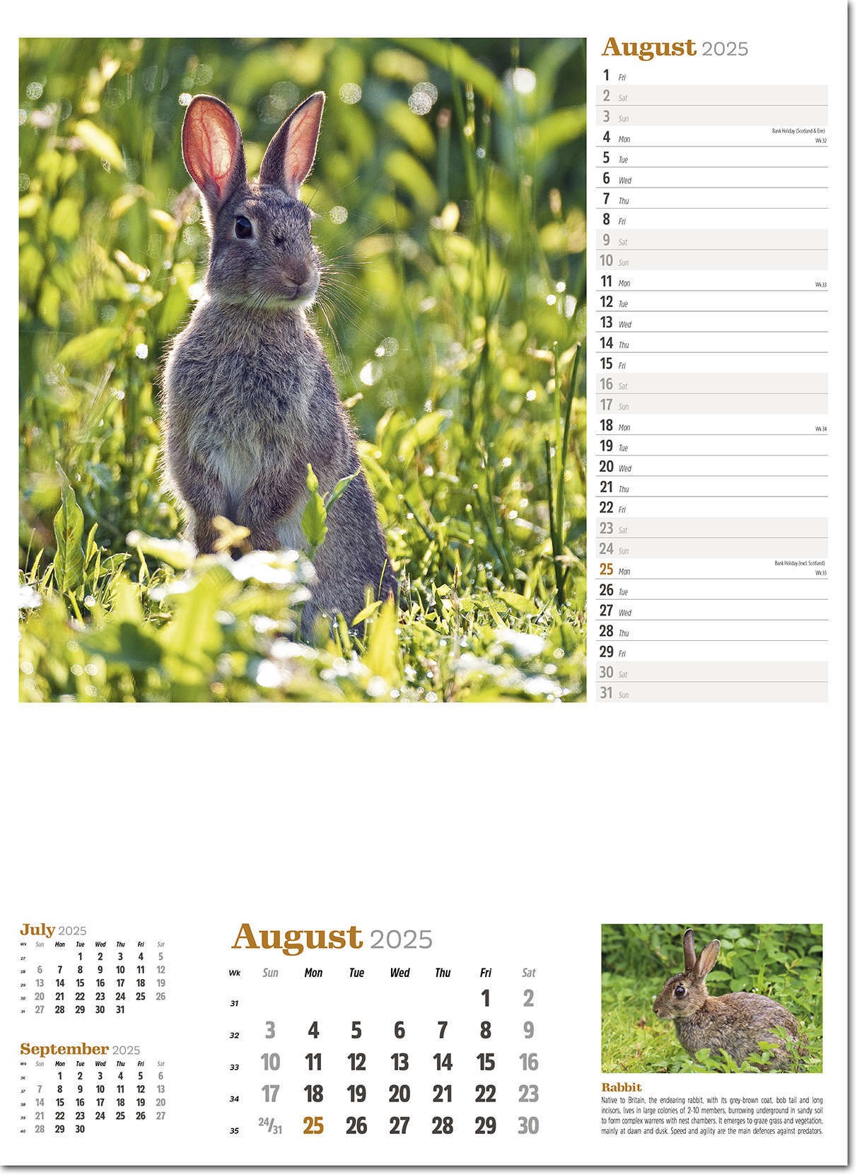 Wildlife in Britain Wall Calendar