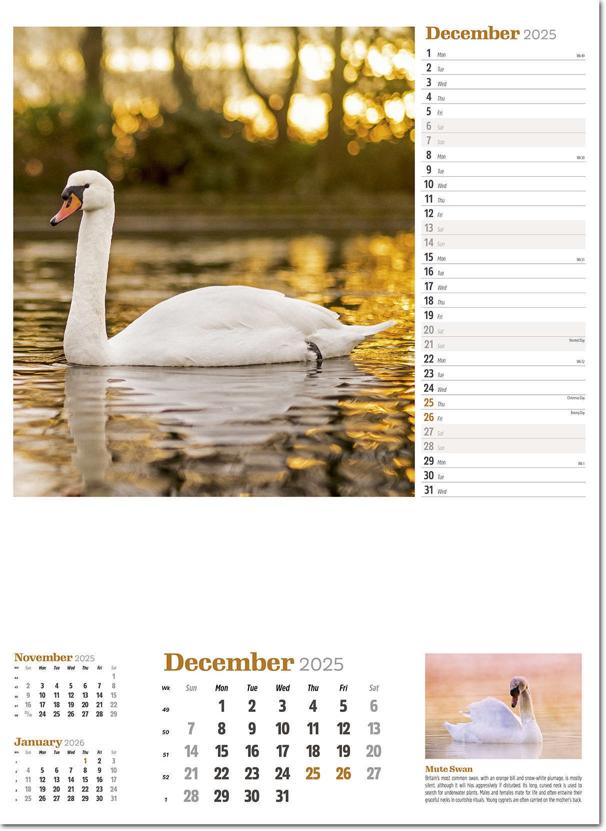 Wildlife in Britain Wall Calendar