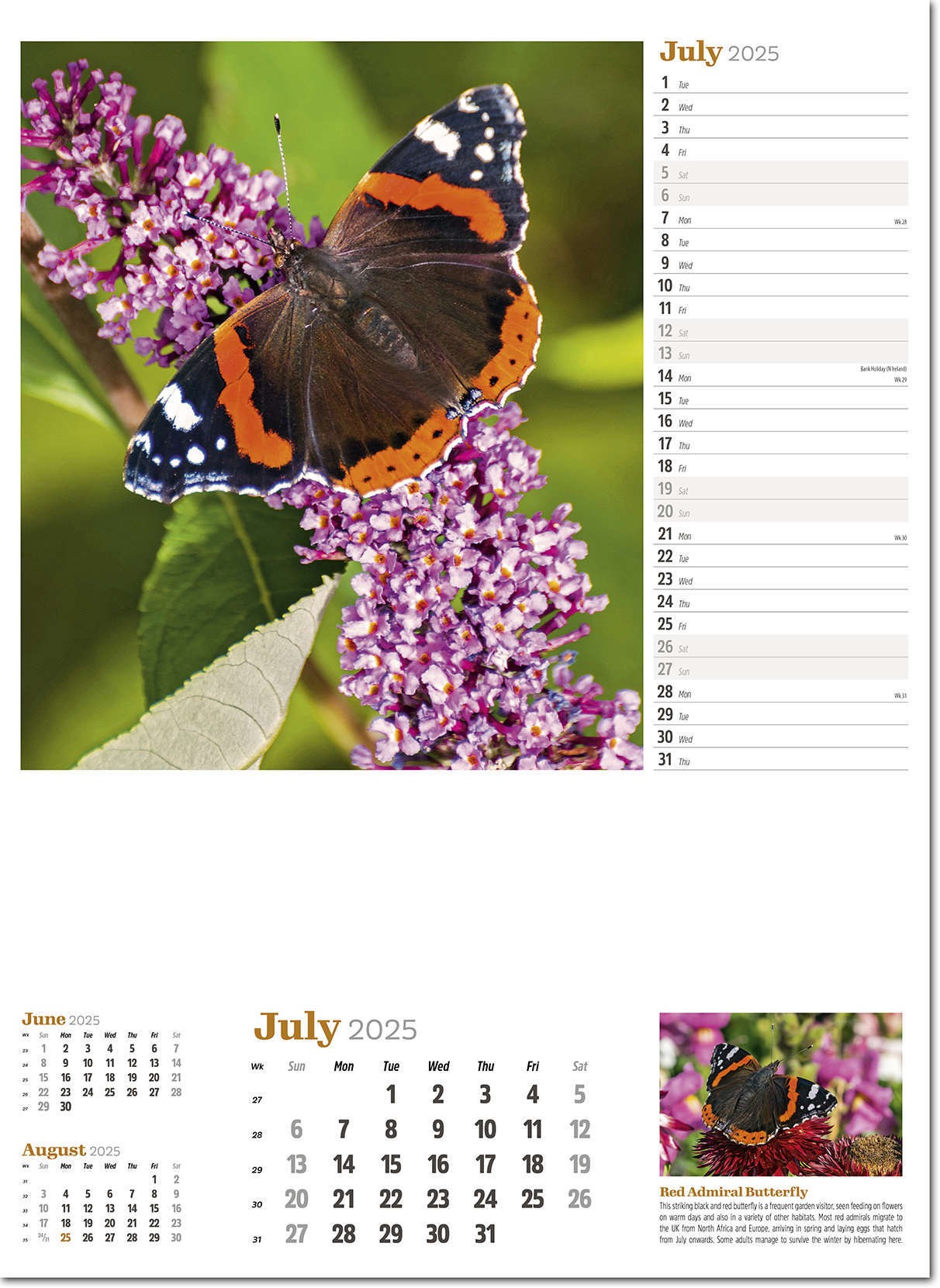 Wildlife in Britain Wall Calendar