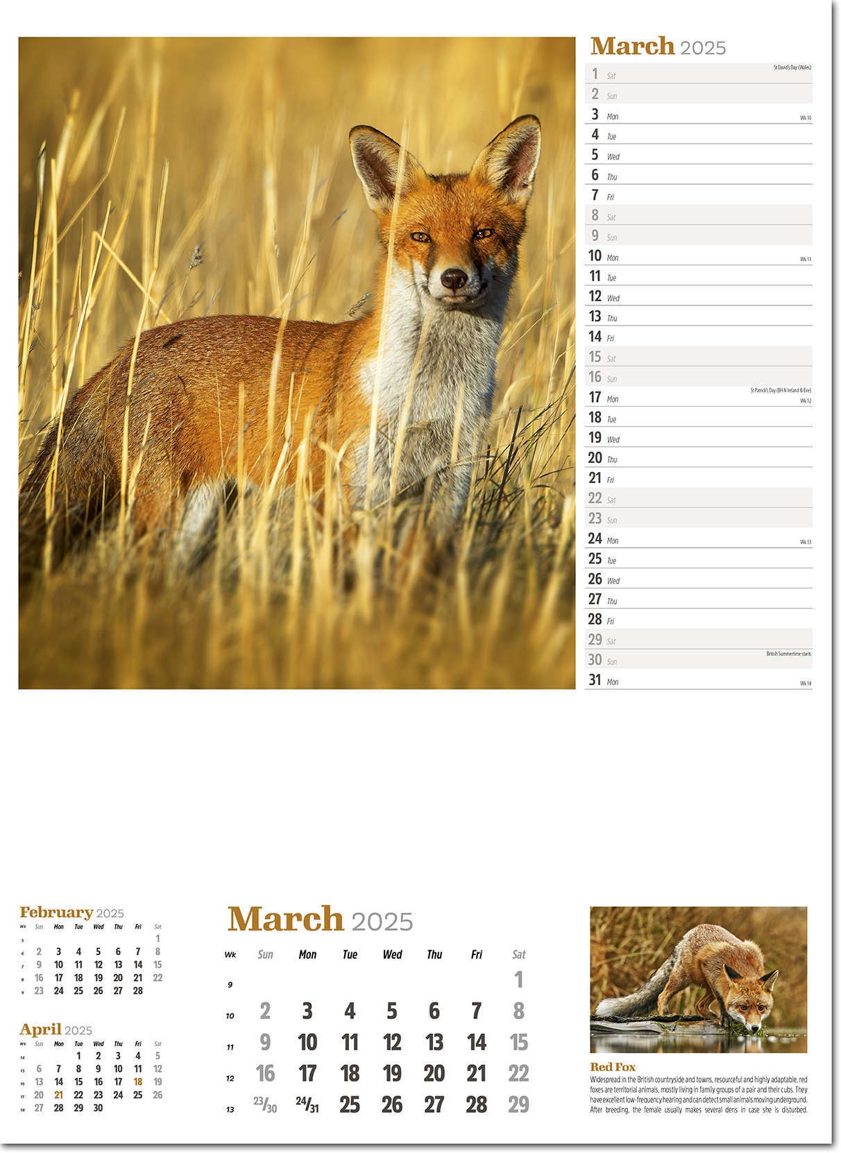 Wildlife in Britain Wall Calendar