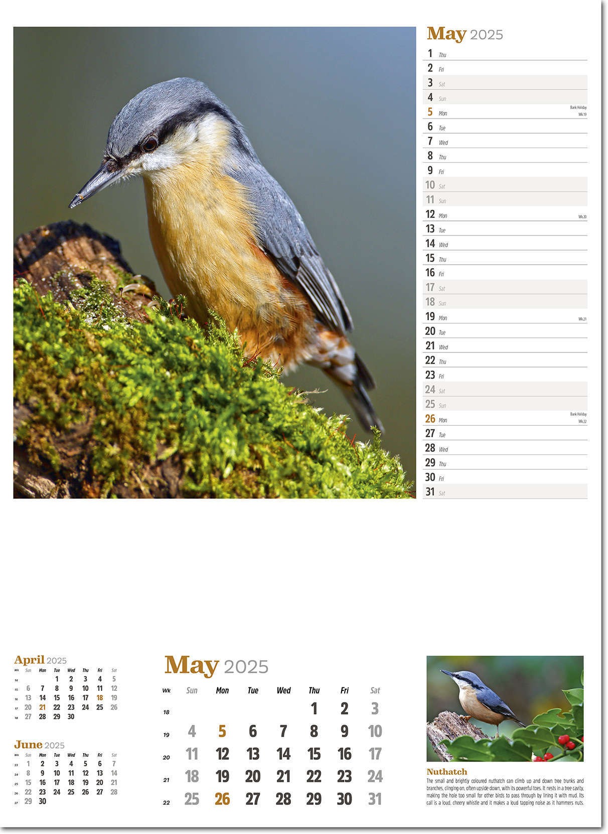 Wildlife in Britain Wall Calendar