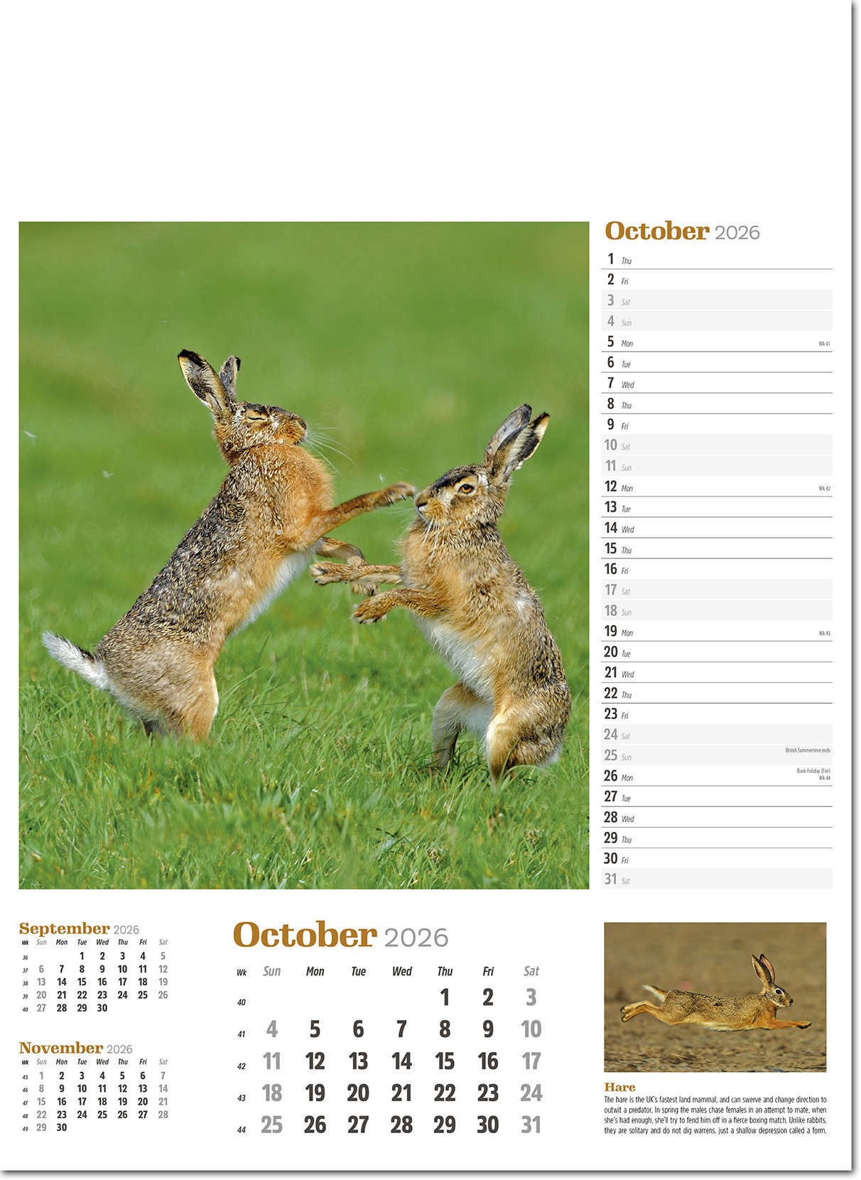 Wildlife in Britain Wall Calendar