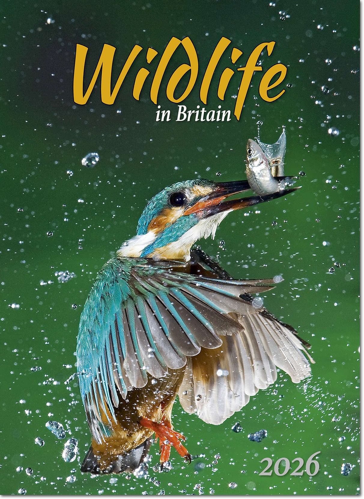 Wildlife in Britain Wall Calendar