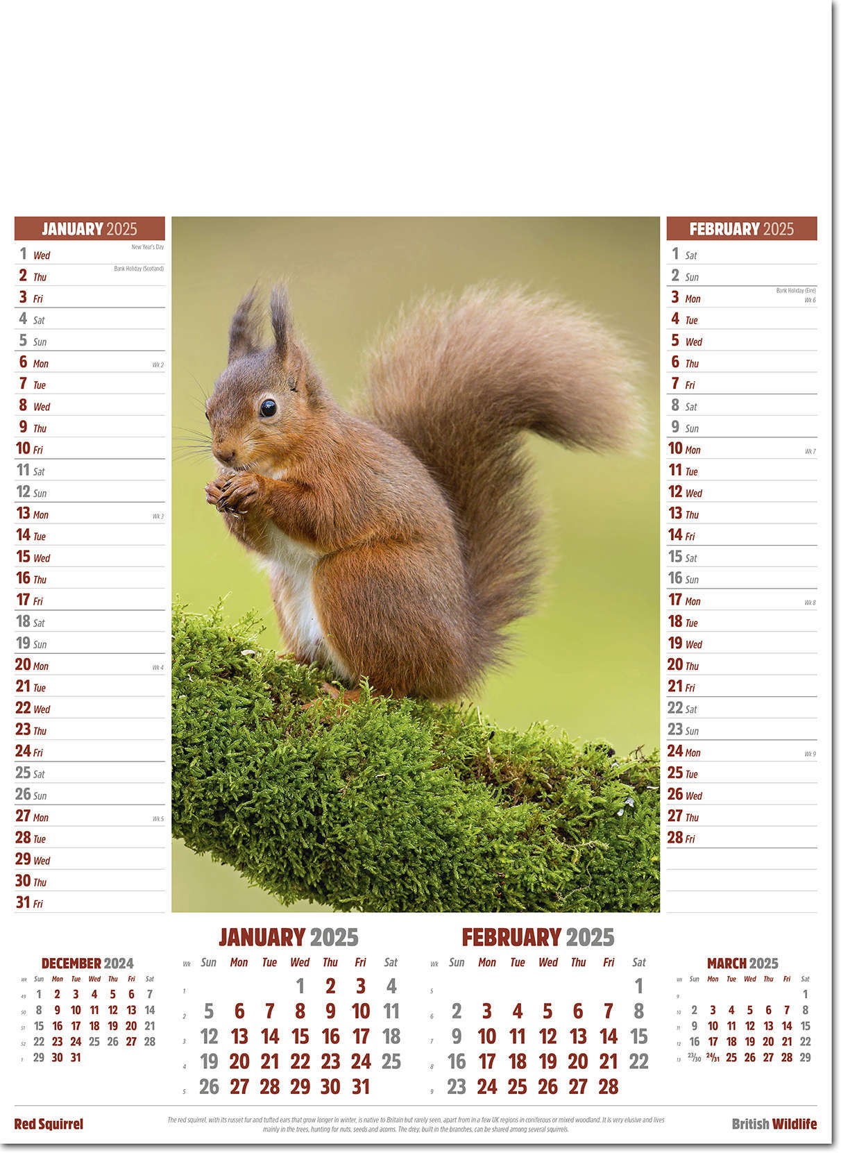 British Wildlife Calendar