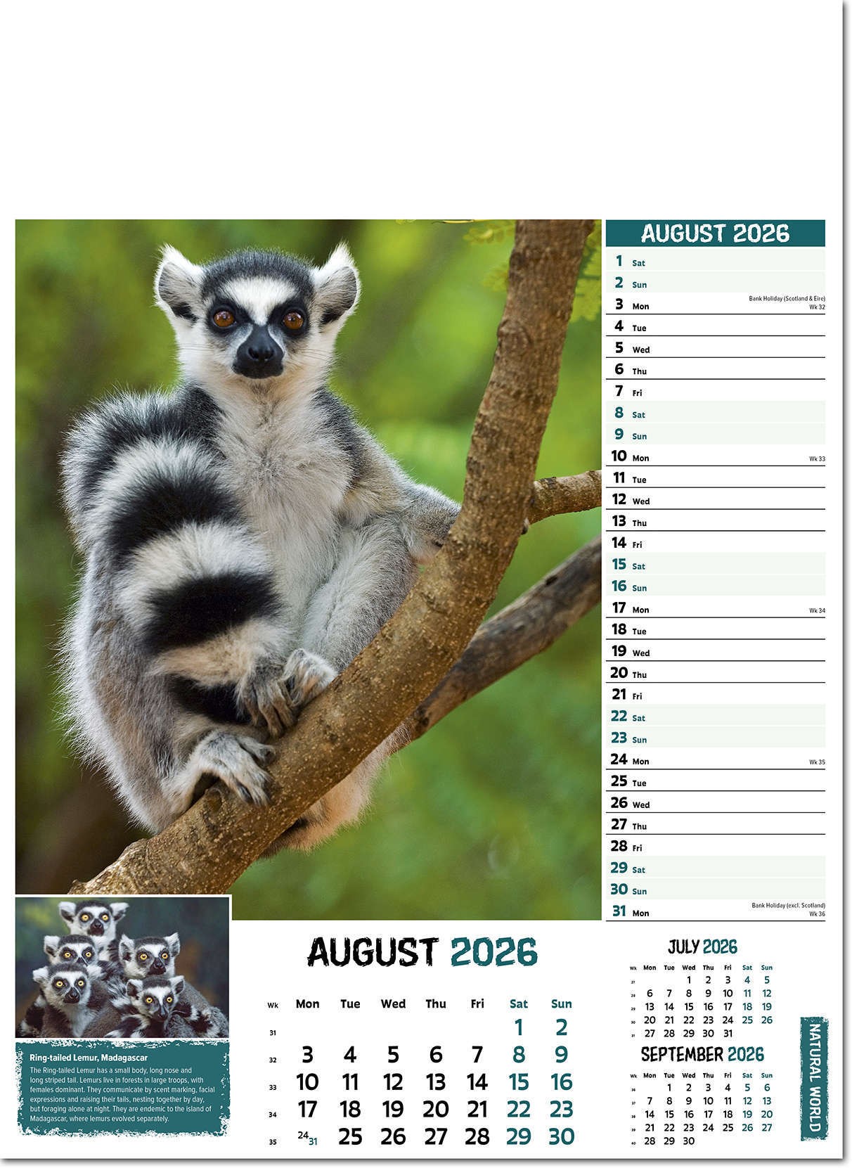 Natural World Wall Calendar