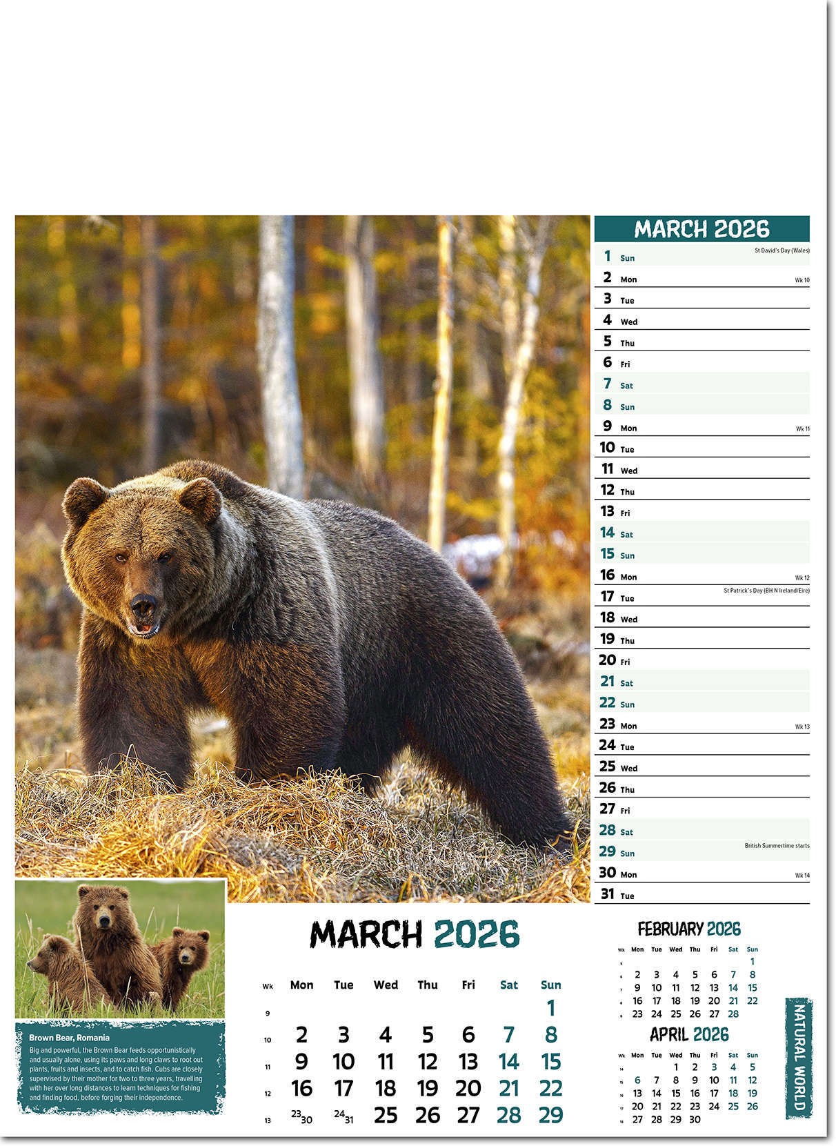 Natural World Wall Calendar