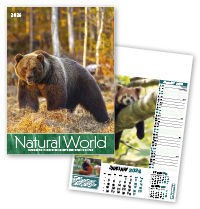 Natural World Wall Calendar