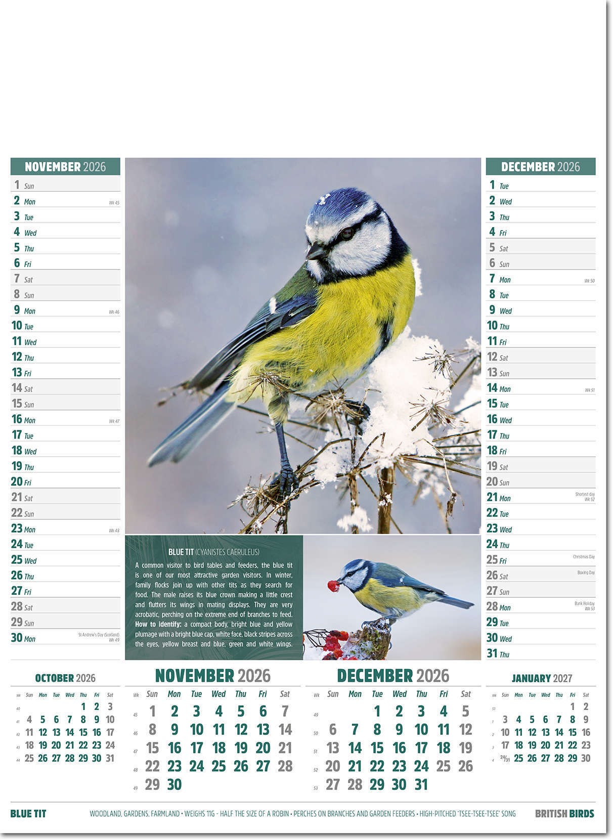 British Birds Calendar