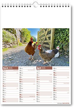 Down on the Farm Calendar