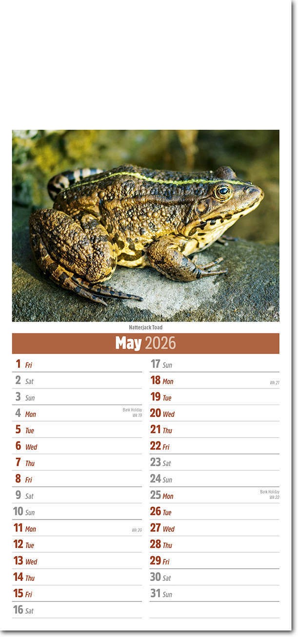 Slimline British Wildlife Compact Calendar