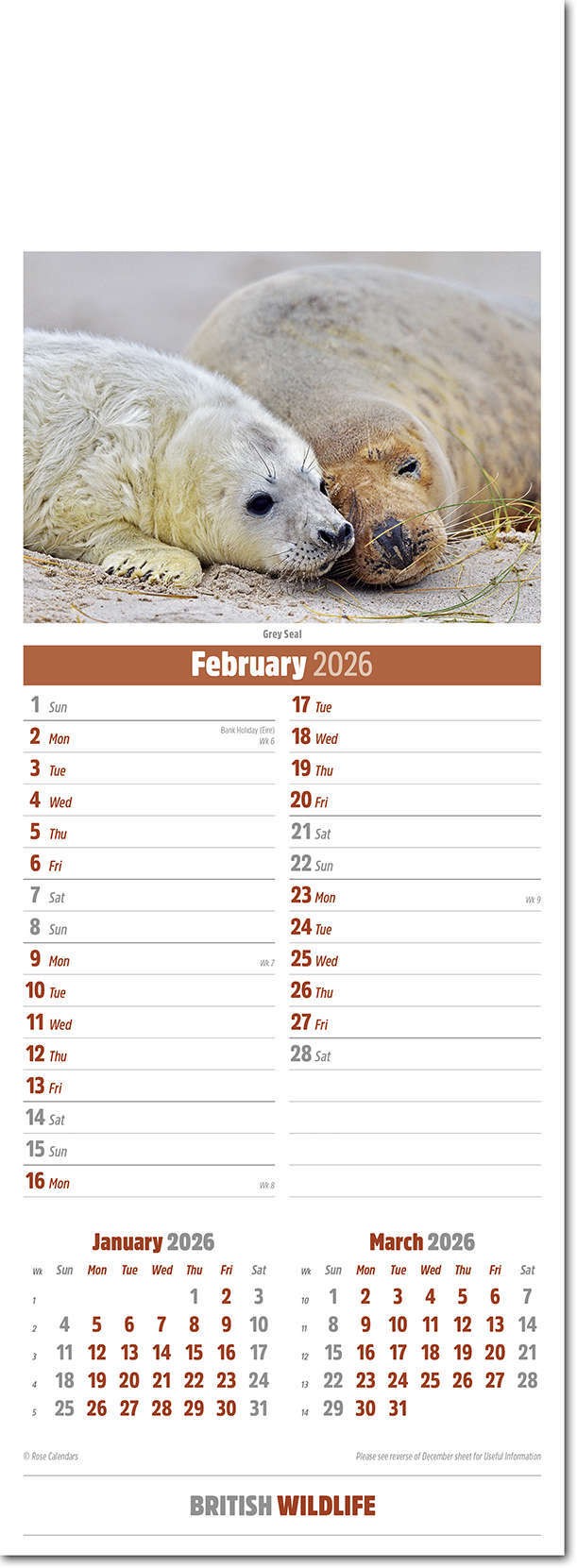 Slimline British Wildlife Calendar