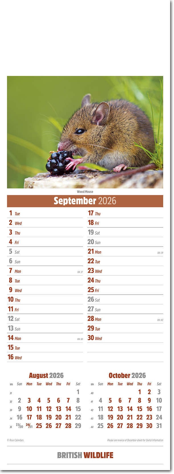 Slimline British Wildlife Calendar