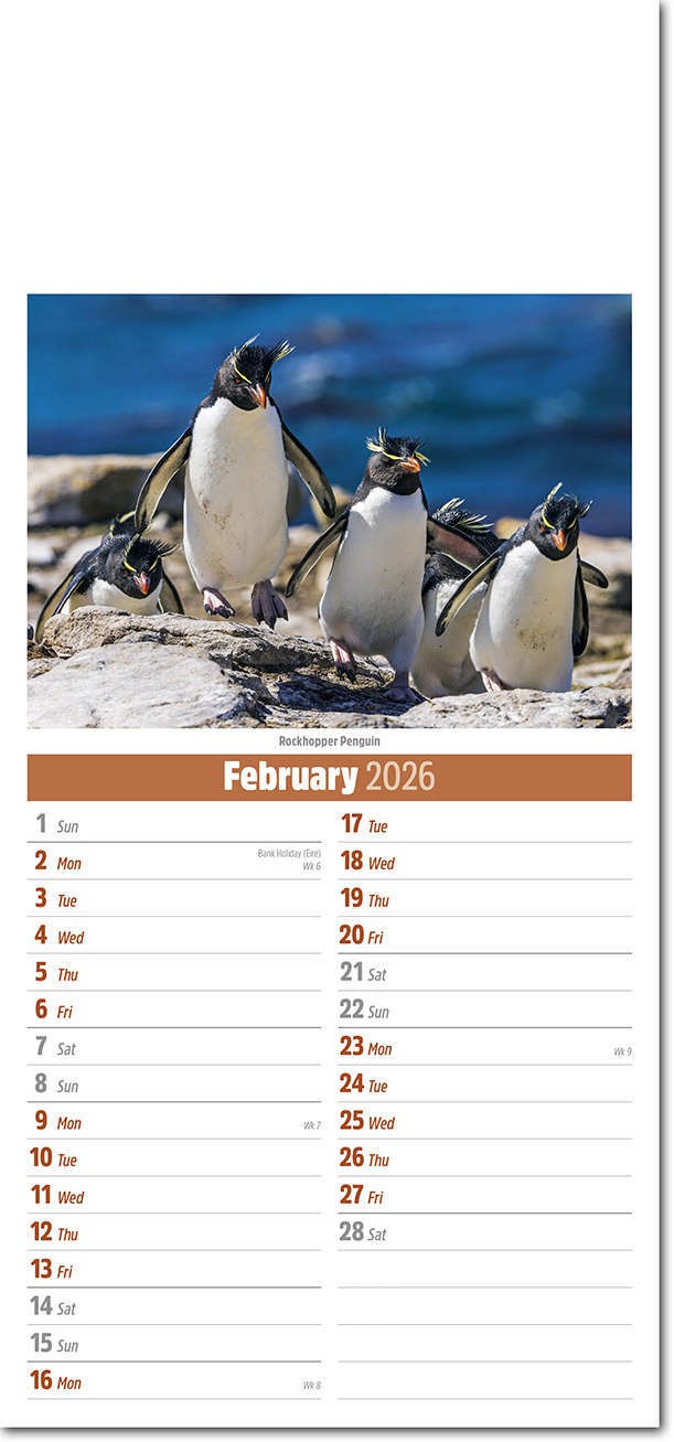 Slimline World Wildlife Compact Calendar