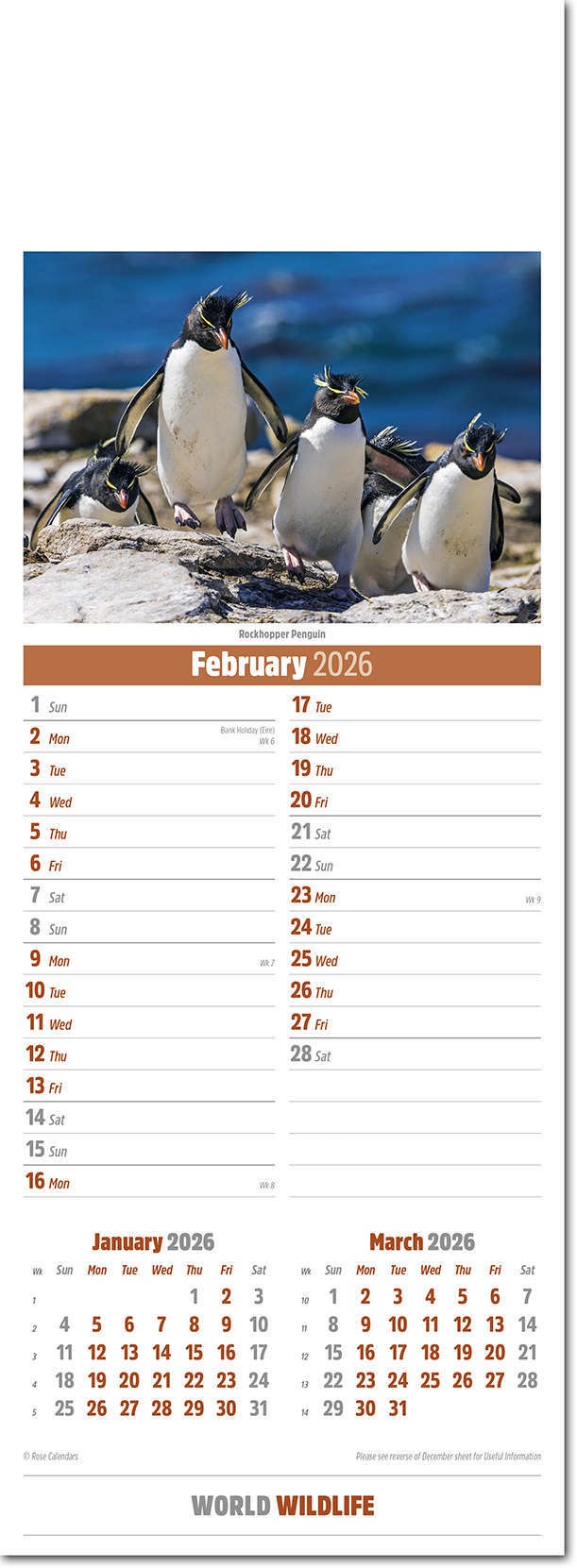 Slimline World Wildlife Calendar