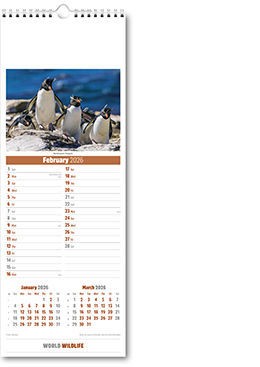 Slimline World Wildlife Calendar